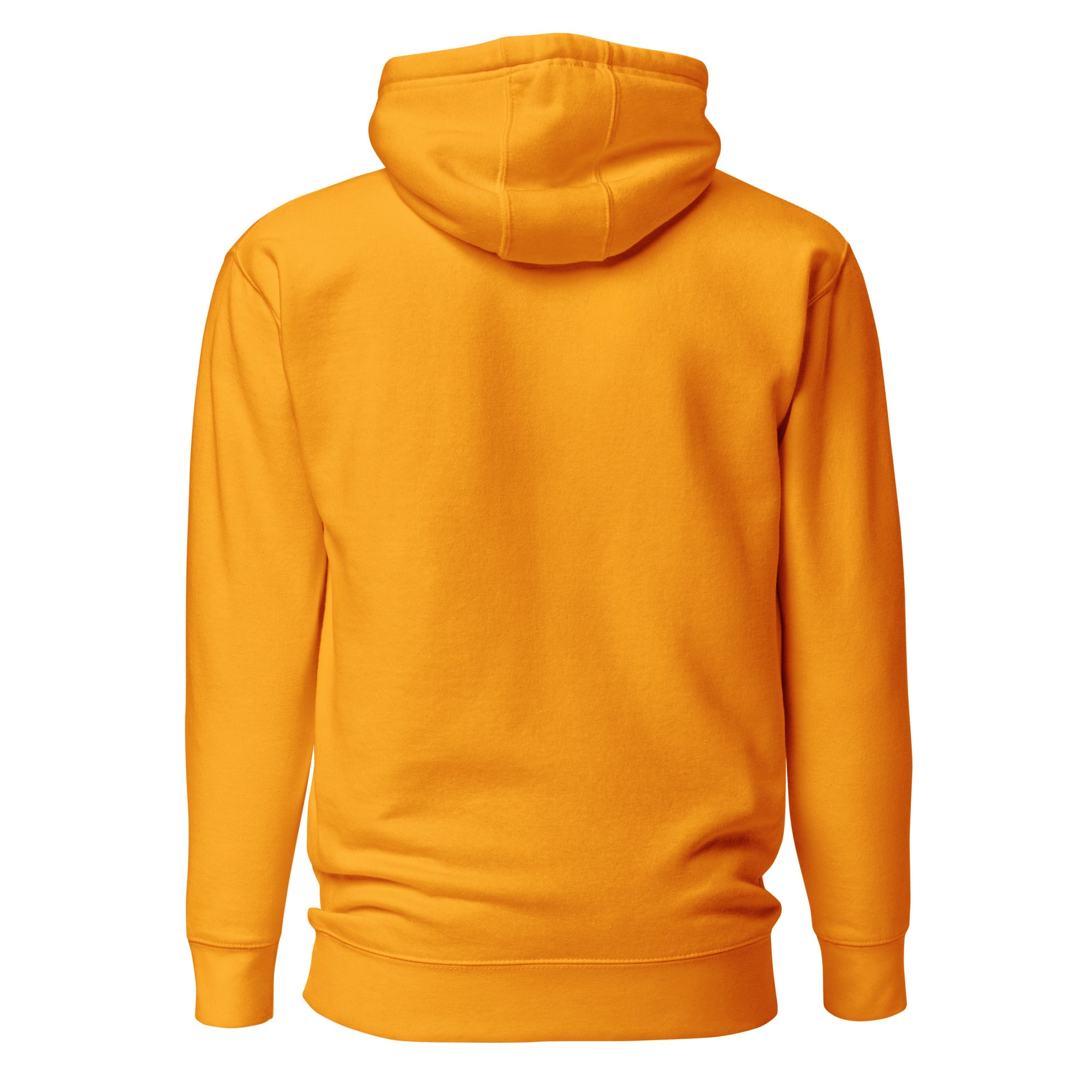Back view mockup of a premium heavyweight padel lifestyle hoodie by LobStory.
