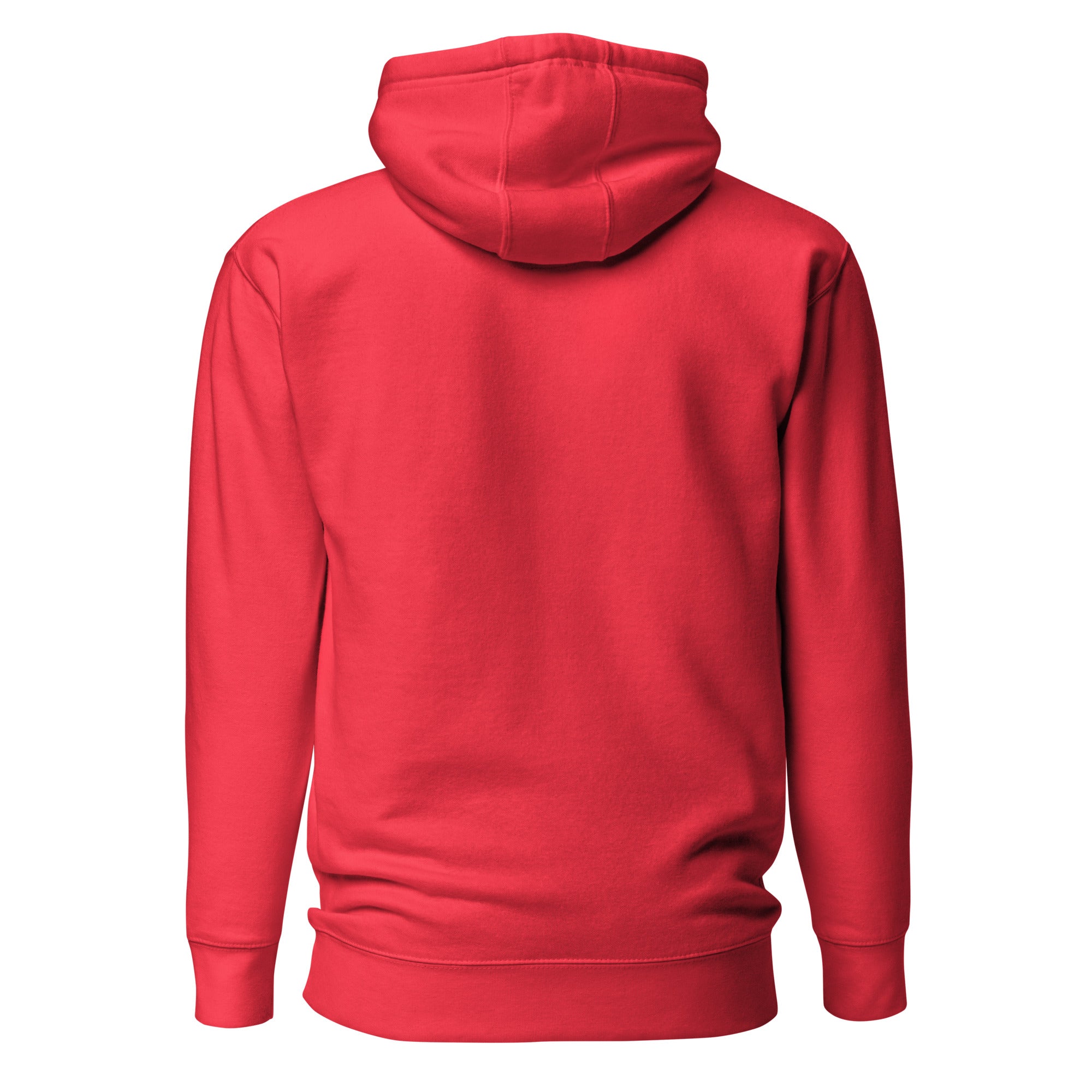 Back view mockup of a premium heavyweight padel lifestyle hoodie by LobStory.