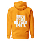 Back view mockup of a premium padel hoodie with bold I Know Where The Sweet Spot Is statement. Lobstory.eu