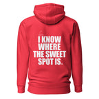 Back view mockup of a premium padel hoodie with bold I Know Where The Sweet Spot Is statement. Lobstory.eu